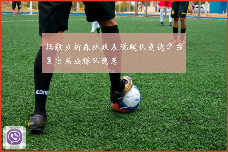 杨毅分析森林狼表现起伏爱德华兹复出或成球队隐患
