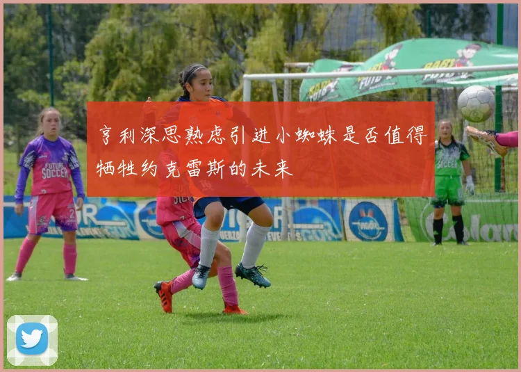 亨利深思熟虑引进小蜘蛛是否值得牺牲约克雷斯的未来