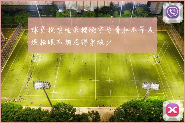 球员投票结果揭晓字母哥和尼昂表现抢眼布朗尼得票较少